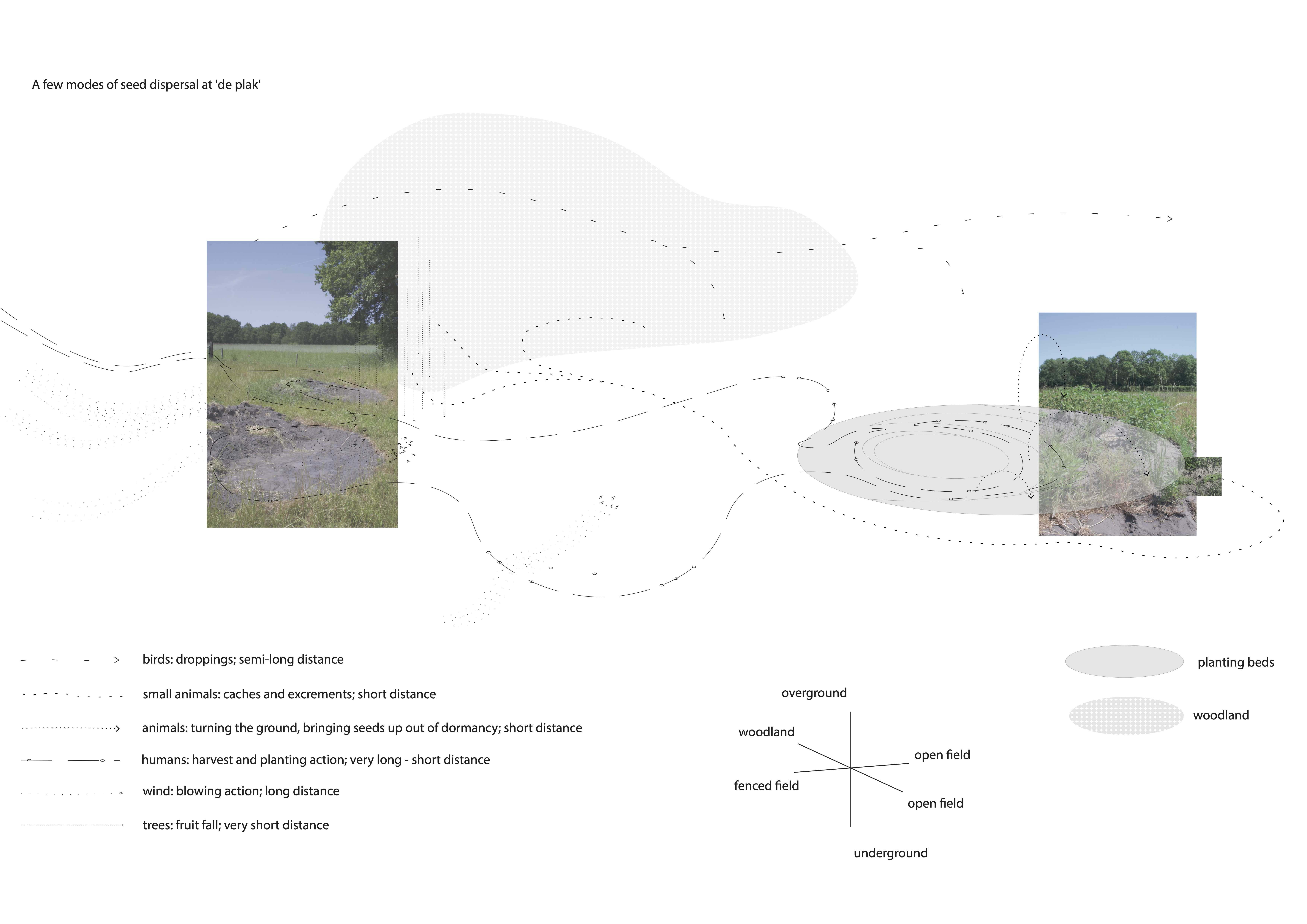 Map of seed dispersal agents around the site.
